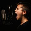Birds' Voices